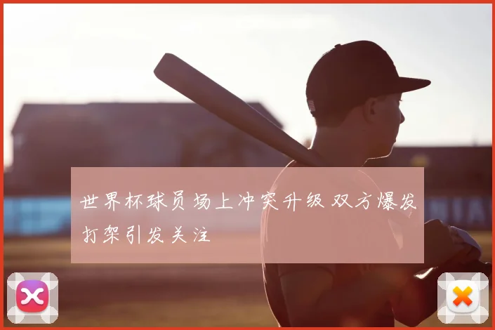 世界杯球员场上冲突升级 双方爆发打架引发关注