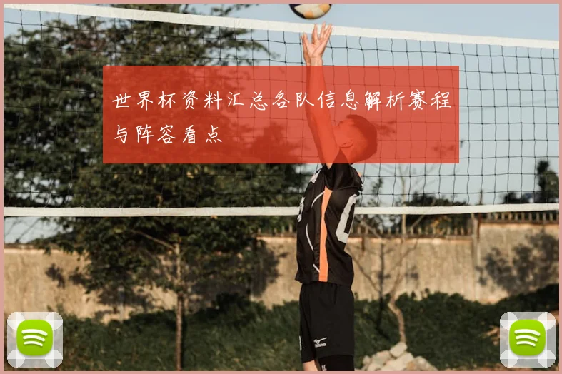世界杯资料汇总各队信息解析赛程与阵容看点