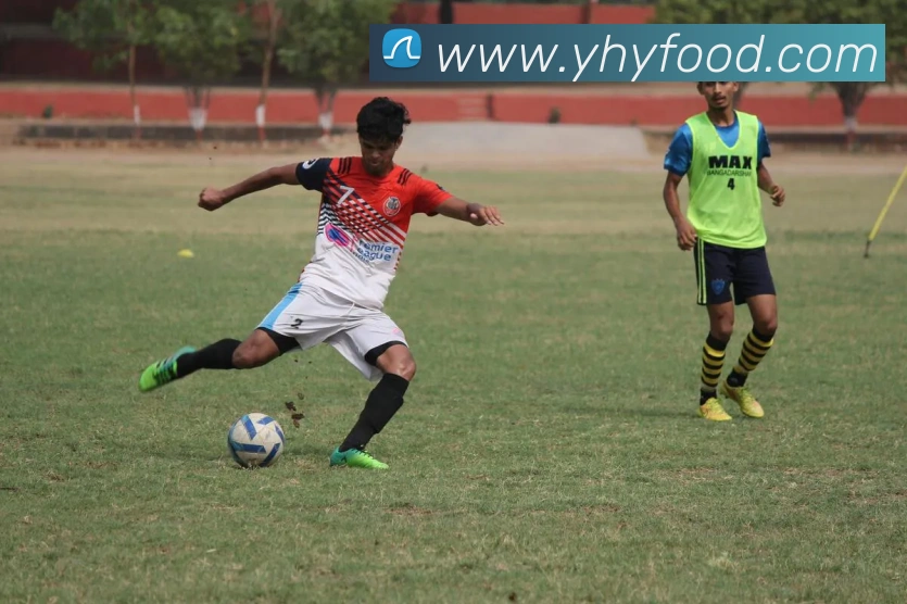 多彩内容专区