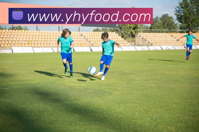 多媒体互动体验